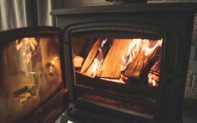 Kiln Dried Logs – Why Choose Them?